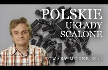 Polskie układy scalone - [Adam Śmiałek]