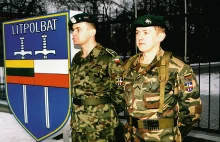Litwa i Polska rozważają wspólne zakupy wojskowe