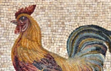 Ab ovo. Jajka w diecie rzymskiej w Pompejach