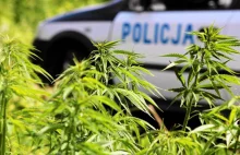 Policjanci z drogówki znaleźli marihuanę w samochodzie policjanta, który...