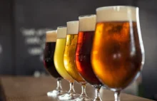 Statystyczny Polak wypija rocznie 194 butelki piwa. To głównie tanie i...