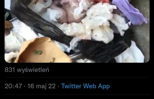 W Chinach noworodki są wyrzucane na śmietnik.
