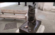HODGE CAT STATUE - jedna z wielu kocich rzeźb w Londynie