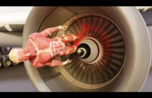 HUMAN BODY vs AIRPLANE ENGINE animation