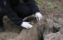 Rosjanie strzelali do dzieci grających w piłkę jak do kaczek