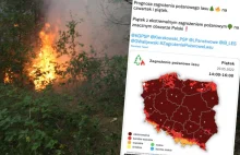 Susza w Polsce. Ekstremalne zagrożenie pożarowe i wysychające uprawy rolne