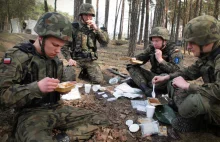 Żywienie, jakość, morale - jak polska firma dba o żołnierzy w czasach...