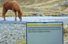 Wyjątkowe wideo reklamuje Islandię. "Szef nie zauważy różnicy"
