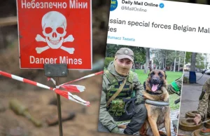 Pies porzucony przez Rosjan trafił do ukraińskiej armii. Teraz szuka min