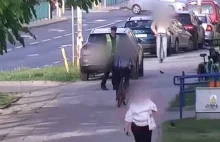 Policja bierze się za rowerzystów