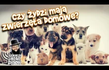 Zwierzęta domowe w żydowskim domu