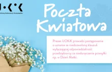 Jutro Dzień Matki. UOKiK ma wątpliwości wobec praktyk Poczty Kwiatowej