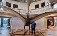 W Argentynie znaleziono szczątki pterozaurów o rozpiętości skrzydeł do 9 metrów
