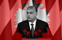 Orban łamie prawo UE! Inne ceny paliw dla Węgrów i inne dla obcokrajowców