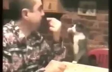 Kot używa języka migowego, by prosić o jedzenie