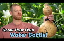 Wyhodowanie naturalnej butelki na wodę zajęło mu rok!