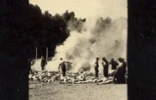 Zdjęcia Sonderkommando:żydowskie fotografie aktywnych komór gazowych w Auschwitz