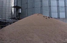 Grabież ukraińskich zbóż. Rosjanie wyeksportowali blisko 500 tys. ton