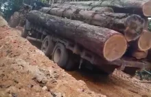 Traktorzysta pomaga wjechać ciężarówce z drewnem pod górkę