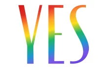 Yes z tęczowym logo. Marka przeszkoli właścicieli salonów z tematyki LGBT+