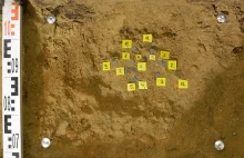 Bydgoski archeolog znów znalazł skarb. Tym razem w Kcyni