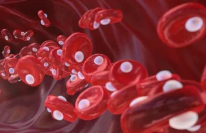 Naukowcy znaleźli sposób na bezpośrednie wprowadzanie tlenu do krwiobiegu.[ENG]
