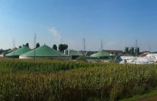 Dr Marek Sawicki: całe polskie zużycie możemy pokryć biogazem