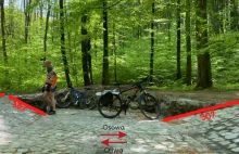 Absurdalna przeszkoda na nowej ścieżce rowerowej w środku lasu