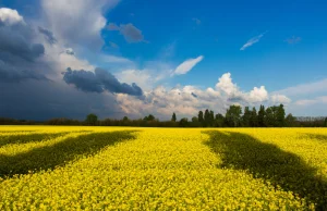 Rosjanie zniszczyli już na Ukrainie co najmniej 140 muzeów, zabytków i obiektów…