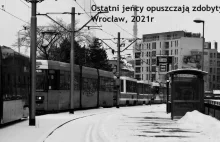 Internetowe pasty o Wrocławiu - kot Wrocek, wykolejające się tramwaje,...