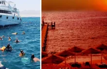 W Egipcie na plażach Hurghady woda zaczerwieniła się, strasząc turystów