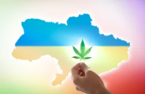 Ukraina zalegalizuje medyczną marihuanę?