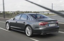 Głosował za zakazem rejestracji nowych aut spalinowych - jeździ Audi S8!