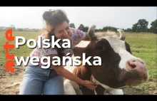 Polska wegańska rewolucja | ARTE.tv