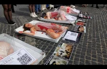 Weganie odlatują, rozbierają się i udają ludzkie mięso na ulicach Warszawy