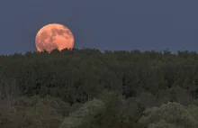 Dziś na niebie wyjątkowe zjawisko - Truskawkowy Księżyc