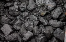 Rząd przyjął ustawę dot. regulacji cen węgla. Tona ma kosztować 996,60 zł