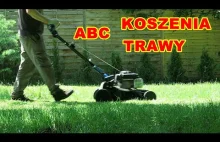 ABC pielęgnacji trawnika, czyli jak i kiedy kosić