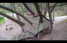 Arcyciekawa konstrukcja leśnej kapliczki między konarami drzew