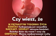 Rozwój dziecka w łonie matki - 15 tydzień