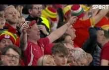 Dafydd Iwan - Yma o Hyd