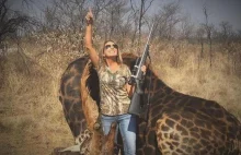 American zastrzeliła żyrafę. Wszystkim odbiło, jednak było to potrzebne