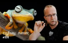 Na glonowej tratwie - Termometr nano - Dlaczego żabki kiepsko skaczą? [CN 131]