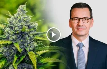 Premier Mateusz Morawiecki o legalizacji marihuany do celów rekreacyjnych...