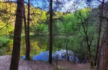 Nieznana atrakcja Kielc: jezioro ukryte pośród drzew, raj dla geologów [wideo]