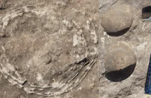 Po raz pierwszy znaleziono nietypową skamielinę