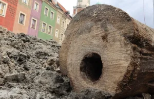 Na Starym Rynku w Poznaniu odkryto rury wodociągowe sprzed 400 lat
