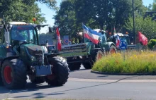 Rekordowy protest rolników w Holandii. Wściekli gospodarze mówią „dość”