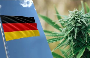 Kiedy Niemcy zalegalizują marihuanę do celów rekreacyjnych? Znamy dokładną datę