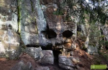 Skalna Czaszka - niezwykła formacja skalna w Górach Stołowych